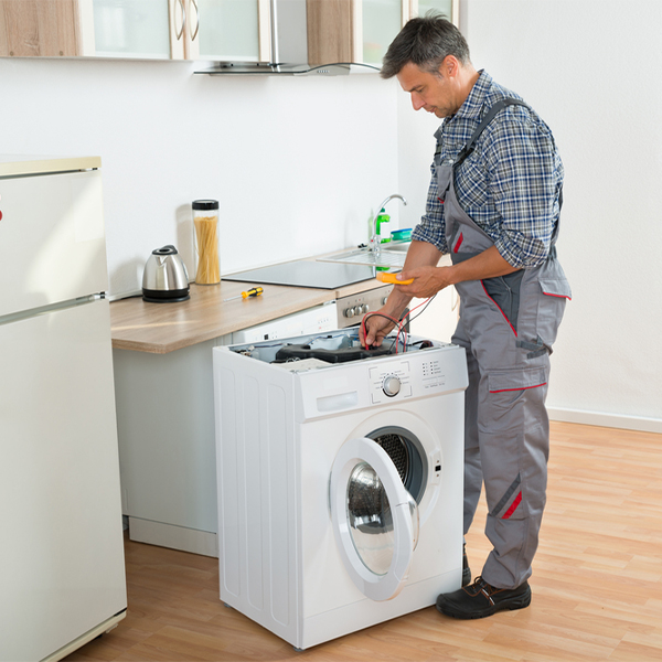 how much should i expect to pay for washer repair services in Purgitsville